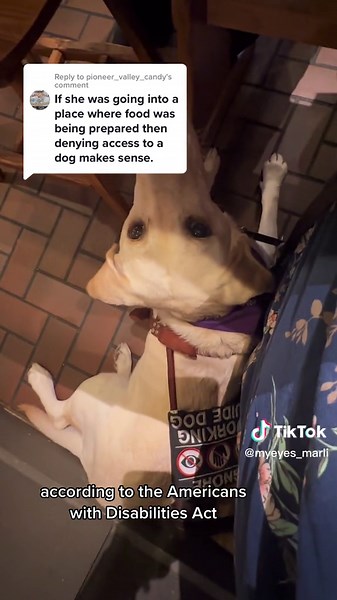 Service Dogs Access Rights in Restaurants: ADA Guidelines