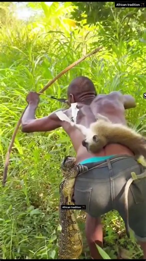 Leopard’s Vertical Hunt: The High-Tree Struggle & Ancient Arco e Flecha 🏹🐆