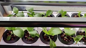 FARMTEK AUSTRALIA on TikTok