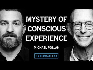 What Humans, Animals and Plants Tell Us About Consciousness | Michael Pollan