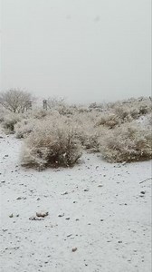 It’s official, the Red Rock Canyon Scenic Drive is closed for the rest of this snowy afternoon. Hopefully we can reopen tomorrow, but there may be a delay if there is ice and snow still on the drive in the morning. | Red Rock Canyon Las Vegas