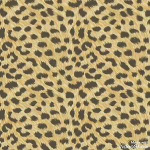 Beautiful Animal Print Leopard Wallpaper Available in 4 colours Only £8.99! https://www.wallpaperdepot.co.uk/wallpaper-c1/animal-print-c19 | WallpaperDepot