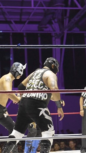 1.5M views · 29K reactions | Paco la Guayaba haciendo su vuelo por encima de la tercera #luchalibre #luchalibremexicana #Tampico | Lucha Libre TM Media | Facebook