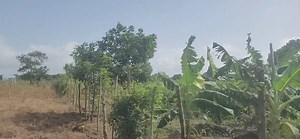 Deoportunida en sabana de lamar sevende 8093572644 | Jonathan Santos