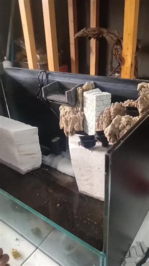 paludarium 80 p done #seni #fypシ #aquascape #paludarium #diorama #dekorasirumah #fyp #japan