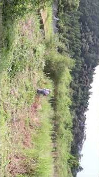 【切り抜き】草刈り機 作業 便利屋 なんでもや コツ 連続リズム 効率アップ 動画 映像