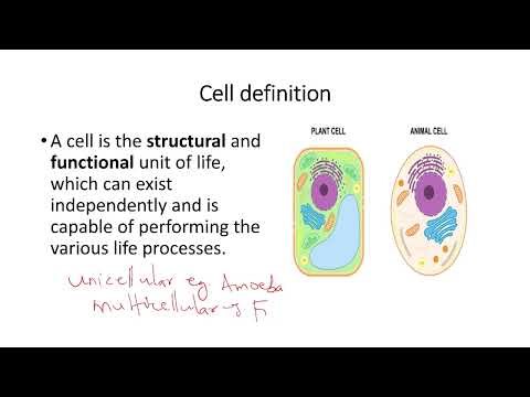 Cell Biology: The Fundamental Unit of Life.