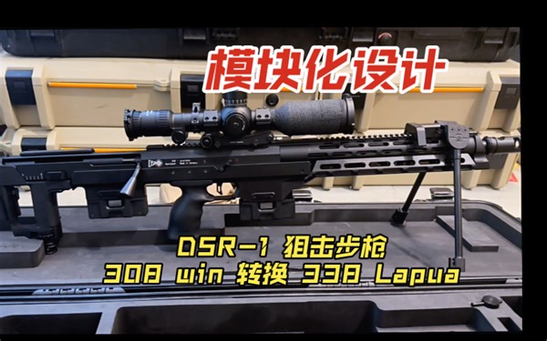 【DSR】一枪多用 DSR 308 ➡️ 338