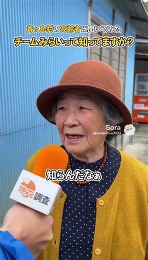 青ヶ島村の高齢者に尋ねてみたチームみらいって知ってますか？青ヶ島村の高齢者、誰一人知る人は居なかったプライバシーの観点からAIにて動画を作成しております。 #やってるな #不正疑惑