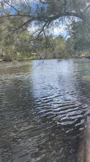 🌿 Take a Break by the River 🌊 There’s nothing quite like camping beside the river to help you slow down and recharge. At Glennbrooke River Camp, you can wake up to the sound of running water, stretch out under the gum trees, and spend the day swimming, fishing, or just relaxing by the fire. It’s simple, peaceful, and exactly what you need to reset. Come pitch a tent, bring some friends, and let the river do the rest. | Glennbrooke River Camp