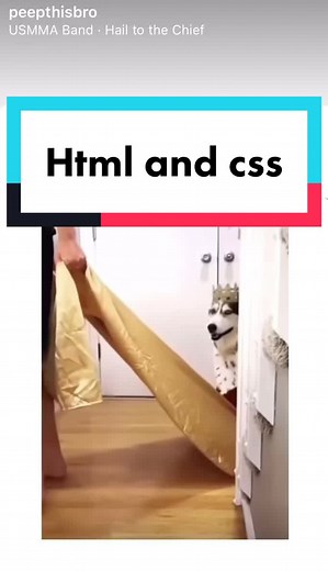 Mastering HTML and CSS: The Ultimate Guide