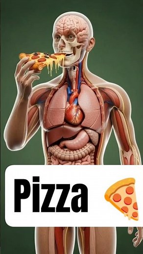 “Crazy Pizza Animation | Watch the Fun Story!”