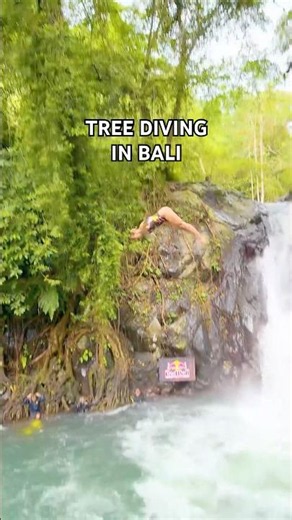 when a cliff diver makes a plan to dive out off a tree 💭🌳🔥 #shorts