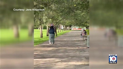 SUSPECT ARRESTED: A convicted felon originally from California is accused of pointing a gun at people in a downtown Miami park Tuesday morning before police quickly arrested him. Click here for the latest details: https://tinyurl.com/4py8yc6s?utm_source=facebook&utm_medium=social&utm_campaign=snd&utm_content=wplg10 | WPLG Local 10