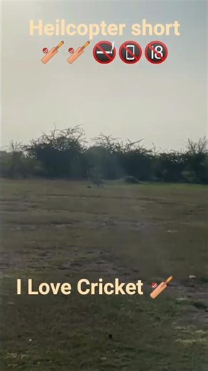 Heilcopter short 🏏🏏#shorts #viral