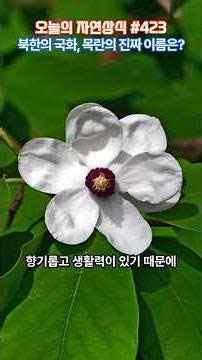 What is the white-flowered tree that fills the valley with joy? #Health #Knowledge #PowerOfNature...
