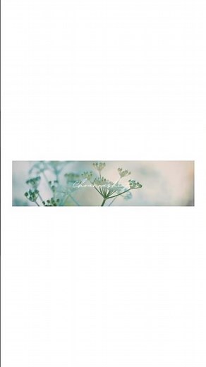 オリジナル短歌のリリックビデオをつくっています。「花火を感じる短歌１／４」【音楽／歌声あり】 #短歌
