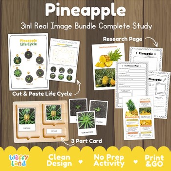 Pineapple Life Cycle & Tropical Botany Unit: 3-in-1 Real Image Montessori Study