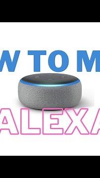 How to Mute Alexa Echo
