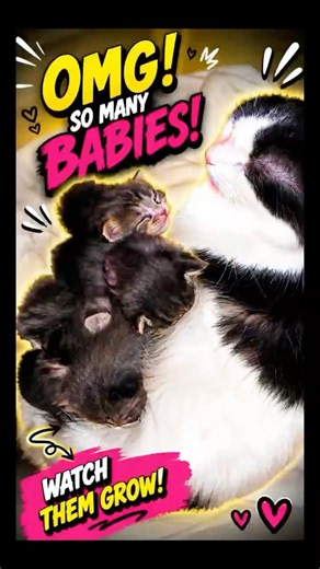 So Many Babies 🐾