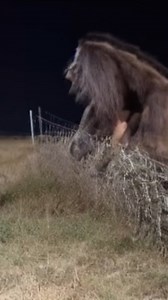 308K views · 4.9K reactions | Mother and sons have encounter with Bigfoot powler that learned how to open freezer. Latimer County, Oklahoma. | Bigfoot Evidence | Facebook