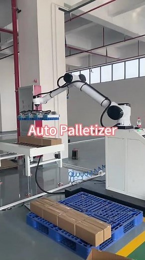 Automatic Palletizer Machine | End-of-Line Packaging Automation Solution