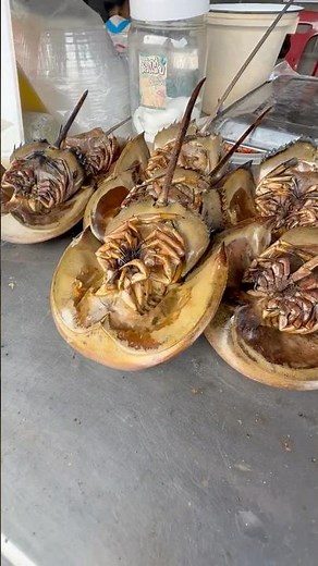 ALIEN Egg Salad 😳