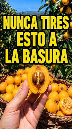 El secreto del NÍSPERO que muy pocos saben