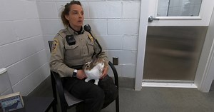 Animal Control Officers want to clear up some common misconceptions about their jobs
