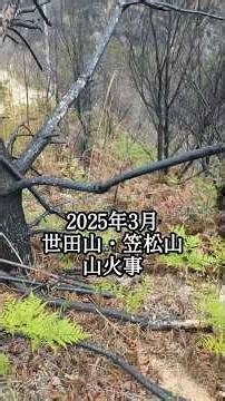 世田山・笠松山山火事からの現状 #おじさんの休日 #ソロ登山 #岩笠松山 #世田山 #愛媛 #山火事