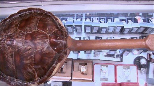 Rick calls in an expert to determine if this rare yet controversial Tortoise Shell Guitar is a great buy or legal trouble waiting to happen. | Pawn Stars on History