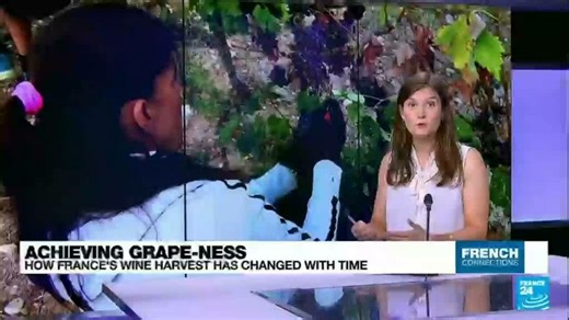 Achieving grape-ness: How France's wine harvest has changed with time