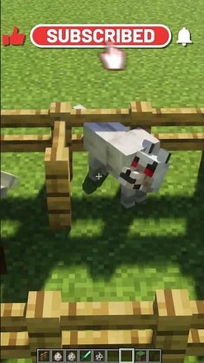 Minecraft skeleton Moment