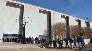 Miracle cat survives car accident, burial