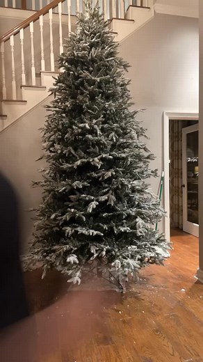 5K views · 5.3K reactions | Comment “Flock” for a link to my blog...