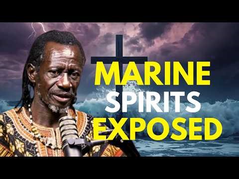 Marine Spirits Exposed! (Everything You Need to Know)