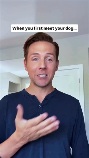 Love at First Bark 🥰 When you first meet your dog… and instantly know he’s meant to be yours. A sweet (and hilarious) twist on the iconic Goonies moment between Chunk and Sloth — only this time, it’s me and Bowser. Boston Terrier humor meets pure heart. . . . #dogsofig #memes #goonies #funnydog #dogmom #perros #dogsofinstagram #hilarious | Ash & Bowser