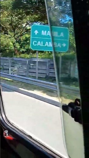 Windows View 🌳🍃