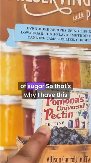 Low Sugar Jam That Actually Sets! #pectin #canning