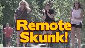 Remote Control Skunk Prank