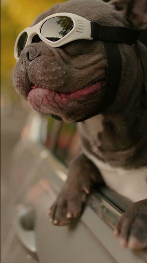 Monroe Shocks & Struts | The World Rides On Monroe