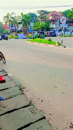 Shop New Arrival Bangles Online With Warranty