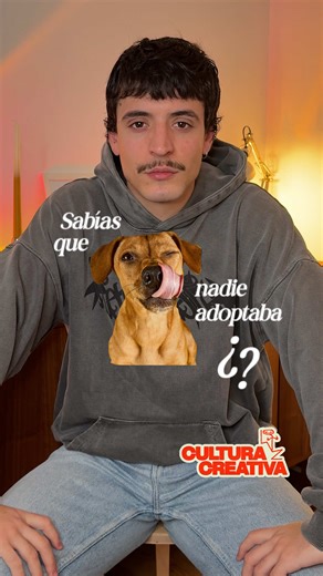 Identidad de los Perros Caramelo en Brasil