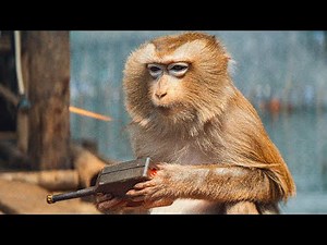THE CREATOR Movie Clip - "Monkey vs. Tank" (2023) Sci-Fi