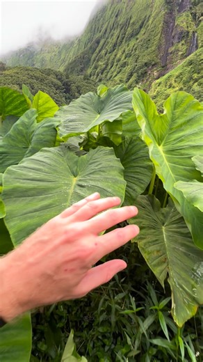 886K views · 9.1K reactions | Looking for a destination that truly...