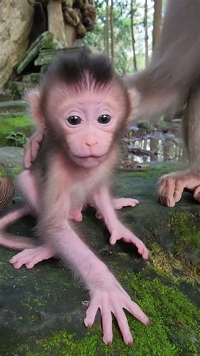 Awesome Cute Little Baby Leland Moments