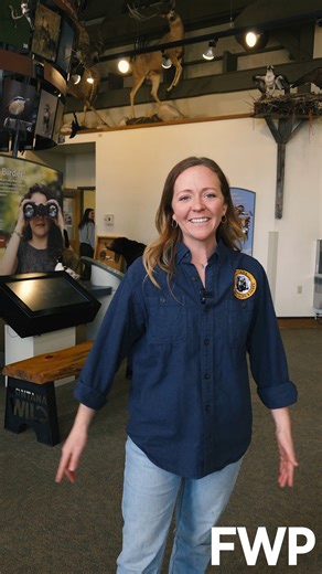 ✨ Now Hiring: Events Coordinator at Montana WILD! ✨ Love wildlife, events, and community connection? This isn’t your average desk job! This is a dynamic, hands-on role where you’ll welcome visitors at the front desk while planning field trips, public programs, and vibrant community events. From bringing World Migratory Bird Day to life to supporting ambassador animals and engaging exhibits, no two days are the same. If you’re organized, creative, and passionate about connecting Montanans to the