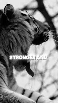 Never Quit! Motivation to Keep Pushing Through Failures