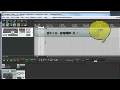 Hidden Noise Reduction Tool in Reaper