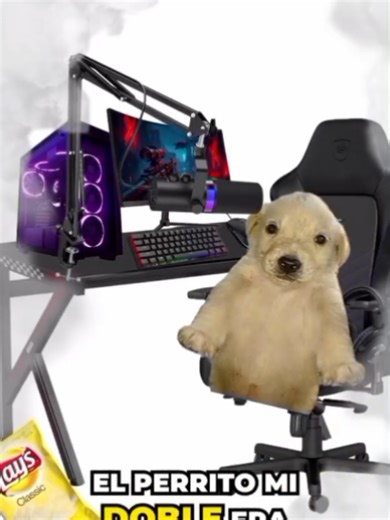 momentos divertidos durante el live🤣 #humor #live #minecraft #interactive